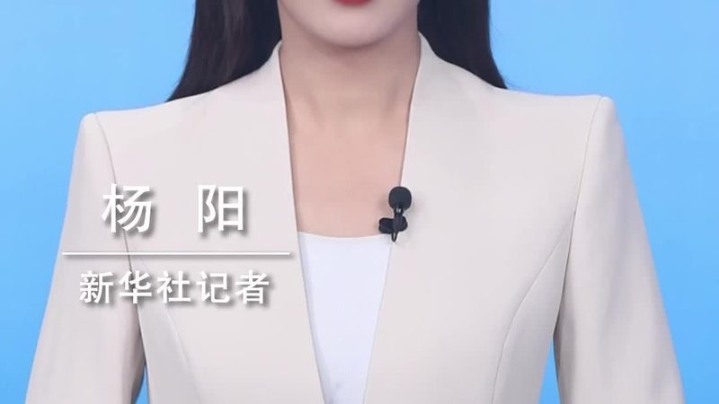 企业搜索安全配置：如何构建高效且安全的搜索解决方案**